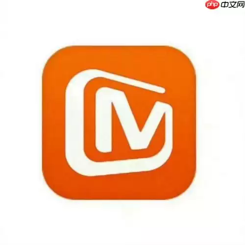 芒果tv怎么调整字幕大小 芒果tv字幕大小设置的操作指南