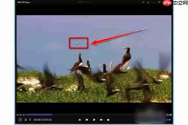 kmplayer plus怎么调整字幕？kmplayer plus调整字幕的操作步骤