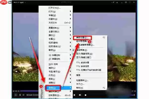 kmplayer plus怎么调整字幕？kmplayer plus调整字幕的操作步骤