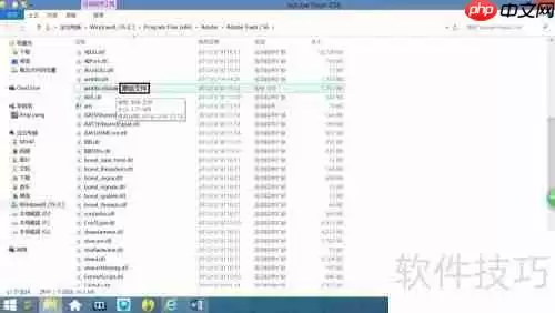 Adobe软件安装与激活教程