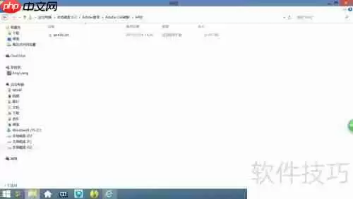 Adobe软件安装与激活教程
