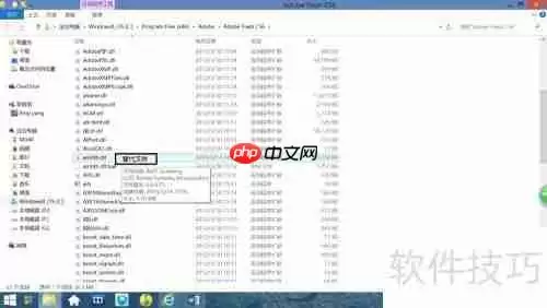 Adobe软件安装与激活教程