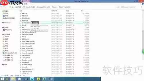 Adobe软件安装与激活教程