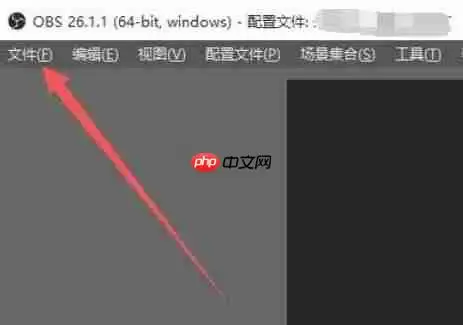 OBSStudio怎么设置吸附源到屏幕边缘-OBSStudio设置吸附源到屏幕边缘的方法