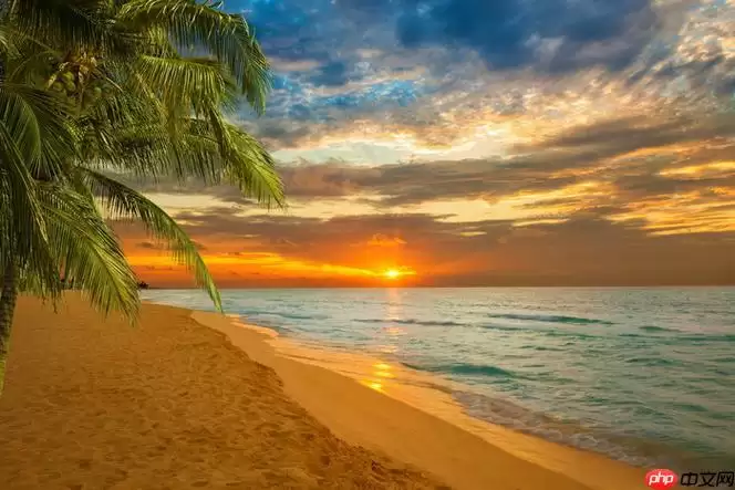 三星手机如何通过Odin刷机?固件升级详细步骤