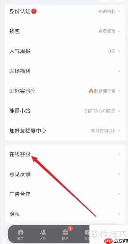 脉脉如何咨询在线客服