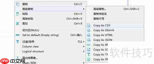 DBeaver将数据库表记录复制为XML格式的方法