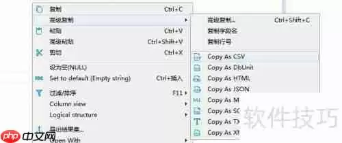 DBeaver将数据库表记录复制为XML格式的方法