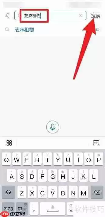 支付宝租手机靠谱吗?这些问题你得先清楚!
