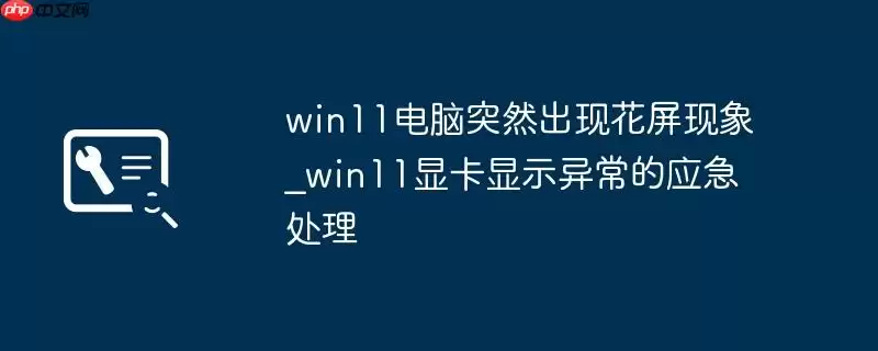 win11电脑突然出现花屏现象_win11显卡显示异常的应急处理
