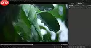 影视免费在线观看播放器排行榜