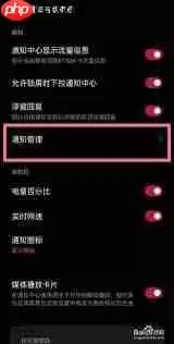 一加9pro如何设置通知亮屏