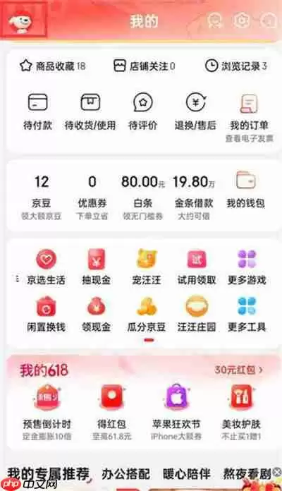 京东怎么查看消费总额