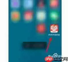 拼多多如何查看商家二维码