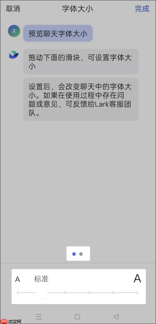 Lark字体大小怎么修改