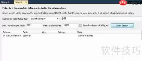 MySQL Workbench全数据库数据搜索指南