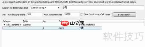 MySQL Workbench全数据库数据搜索指南