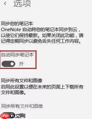 one note怎么开启自动同步?one note自动同步的方法