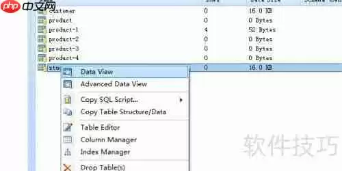 DB Master生成数据库表的HTML5报表方法
