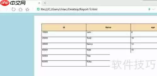 DB Master生成数据库表的HTML5报表方法