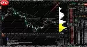 东方财富如何查看筹码分布图