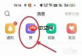 牛客如何查看关注的人