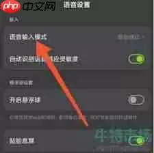 kook怎么设置语音输入模式