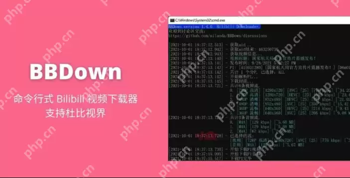 bilibili视频解析工具有哪些？bilibili视频解析手机工具免费推荐 - 游乐网