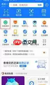 支付宝能量雨在哪