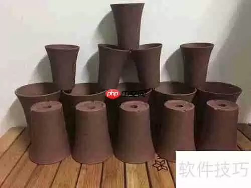 万象盆含义及其优缺点分析