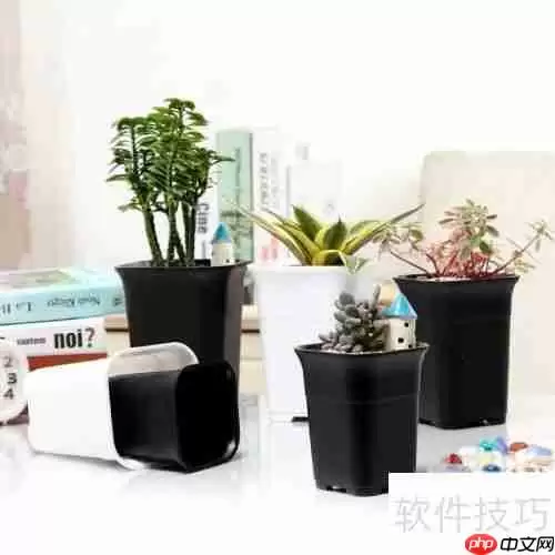 万象盆含义及其优缺点分析