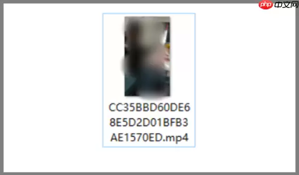 kmplayer plus音轨怎么调？kmplayer plus调音轨的方法