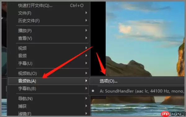 kmplayer plus音轨怎么调？kmplayer plus调音轨的方法
