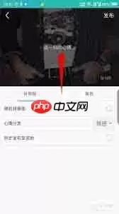 松果倾诉如何发布心情