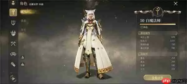 最终幻想14水晶世界白魔镶嵌属性选择