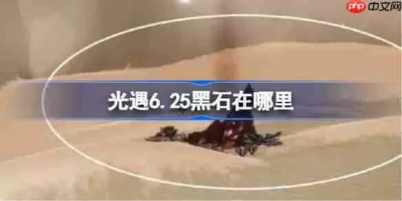 光遇6.25黑石在哪里-光遇6月25日黑石位置攻略