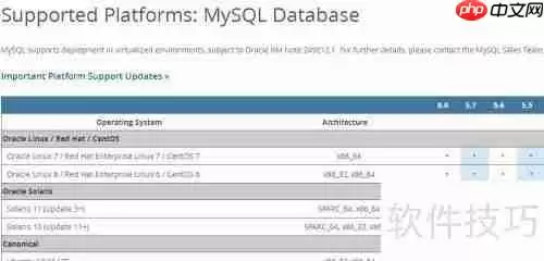 Windows2003系统下MySQL安装小结