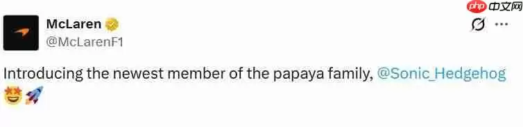 我们联合！ 索尼克和迈凯伦30年再次合作