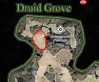 博德之门3影心攻略