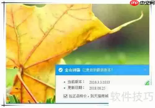 金山词霸网络错误怎么办：快速解决方法