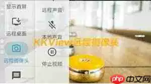 todesk如何查看被控记录