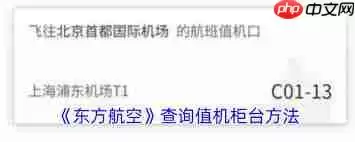 东方航空如何查看登机柜台