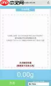 touchscale网页版入口在哪