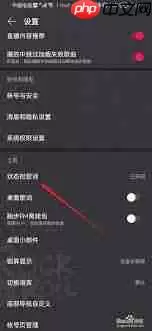 网易云音乐状态栏歌词怎么设置