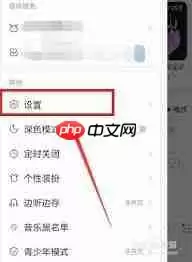 网易云音乐状态栏歌词怎么设置