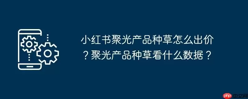 小红书聚光产品种草怎么出价？聚光产品种草看什么数据？