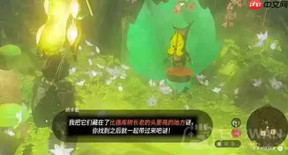 塞尔达传说纳末敏的寻宝游戏任务怎么做-纳末敏的寻宝游戏任务攻略