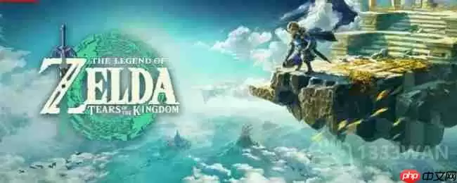 塞尔达传说纳末敏的寻宝游戏任务怎么做-纳末敏的寻宝游戏任务攻略