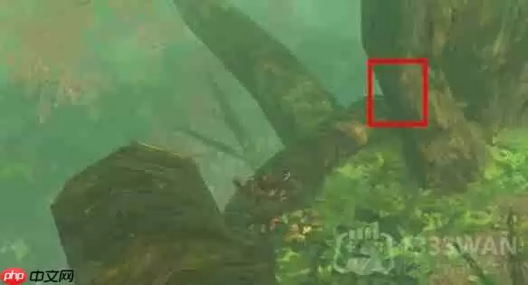 塞尔达传说纳末敏的寻宝游戏任务怎么做-纳末敏的寻宝游戏任务攻略