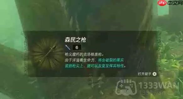 塞尔达传说纳末敏的寻宝游戏任务怎么做-纳末敏的寻宝游戏任务攻略